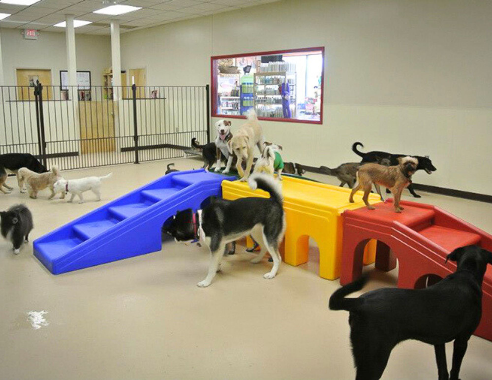 Facility 4