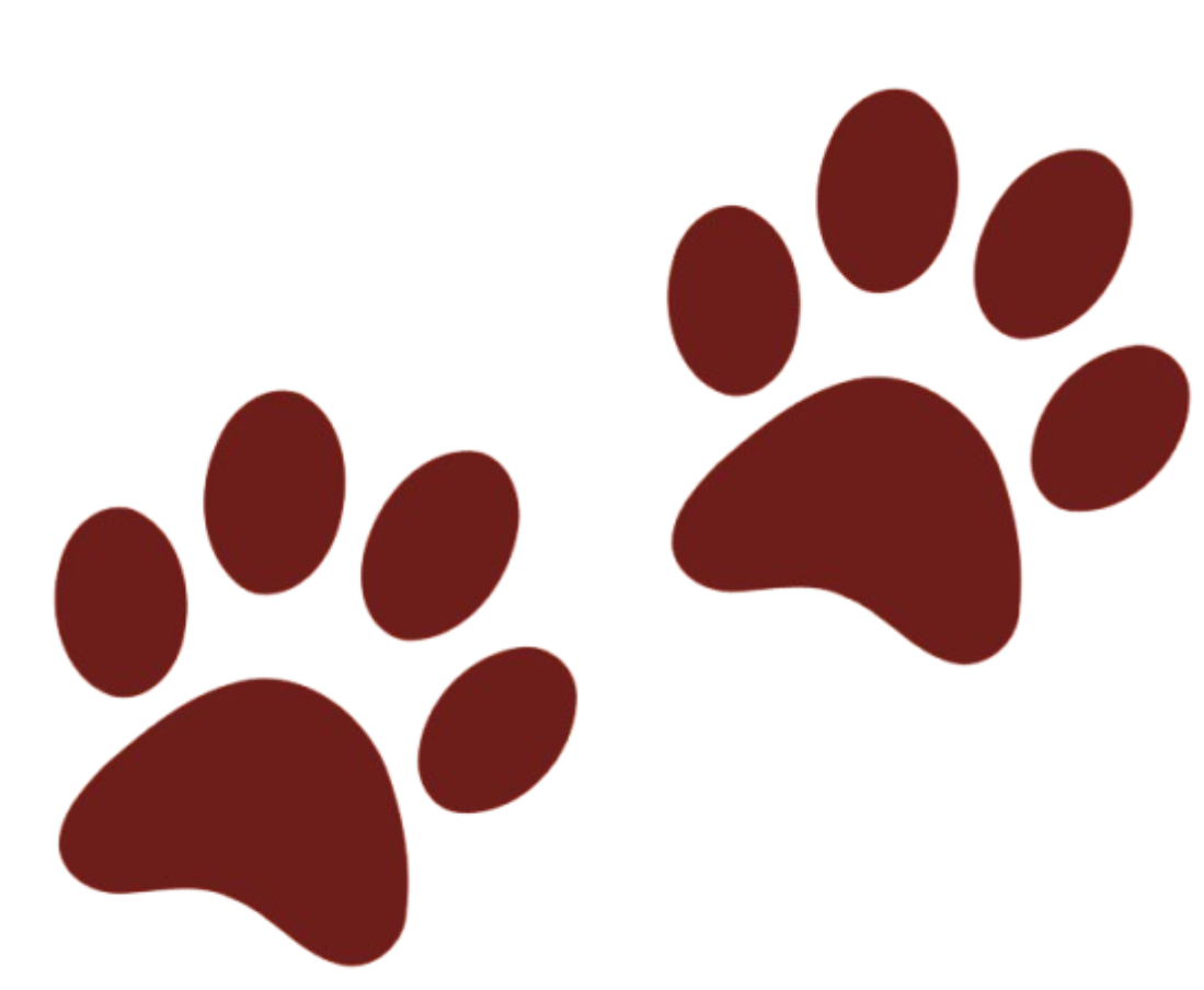 paw print