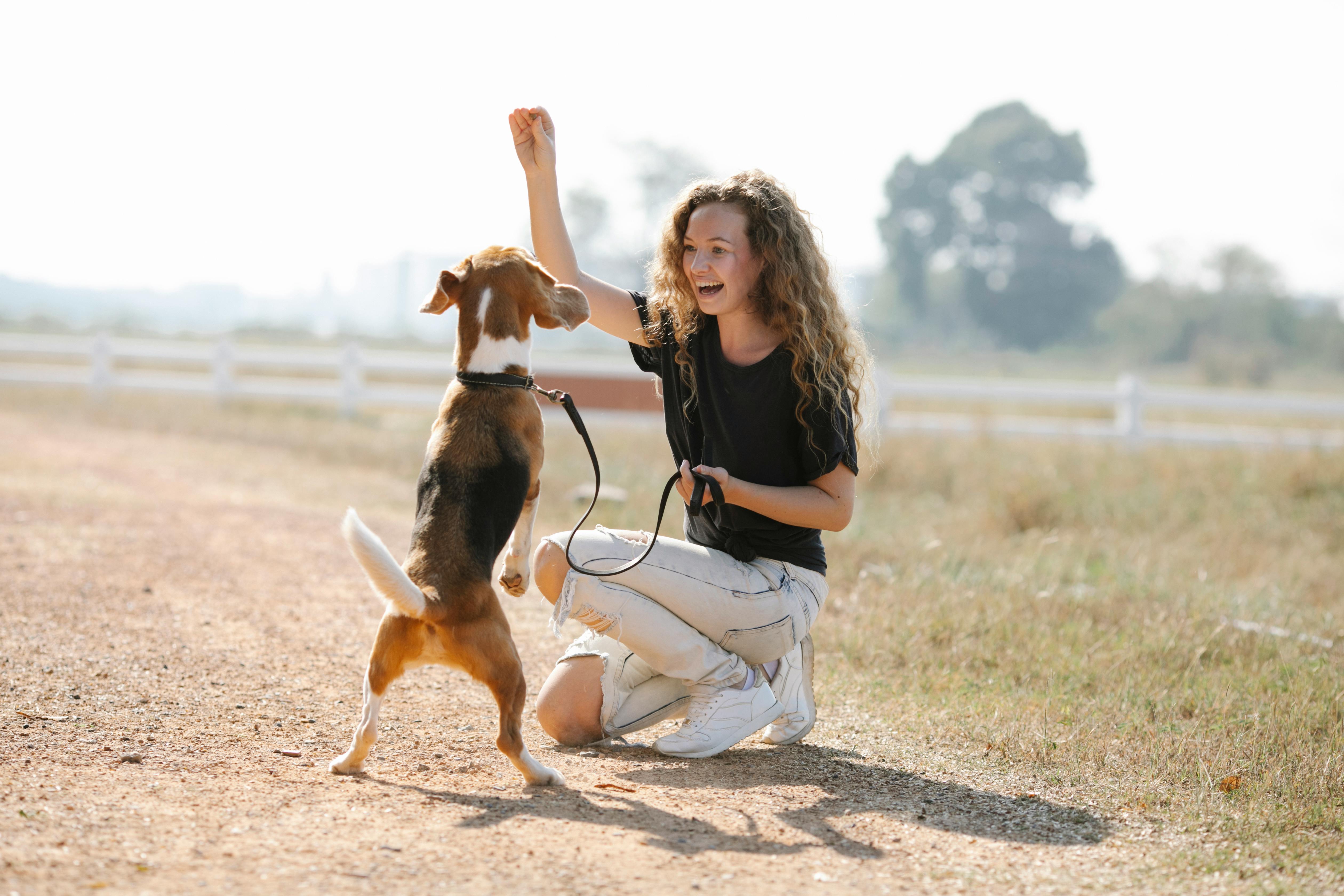 playdog