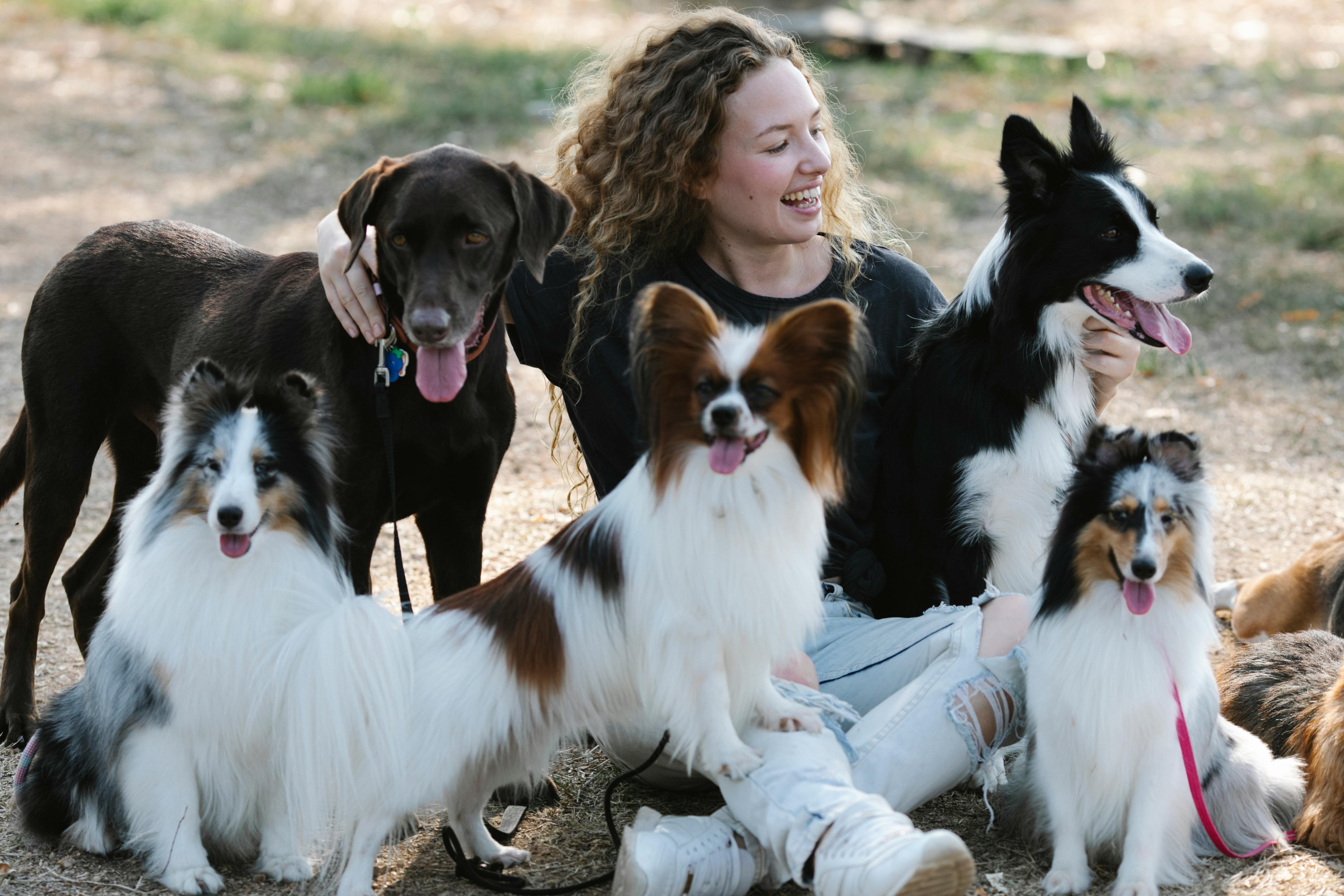 Owner and dogs
